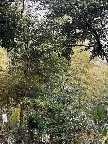 中山杉山神社(神奈川県)