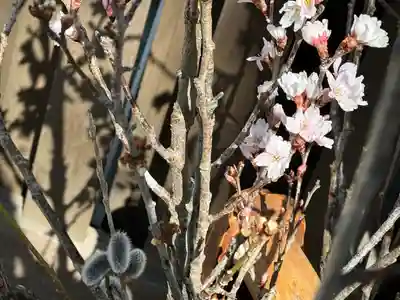 阿邪訶根神社(福島県)