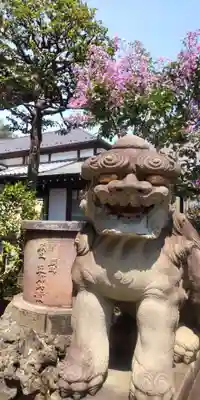 白山神社(東京都)