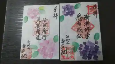 6月限定御朱印です。紫陽花がキレイです😘