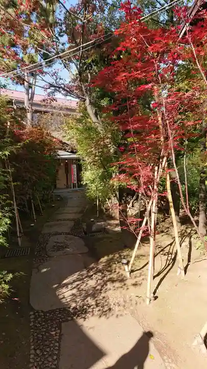 須賀神社の自然