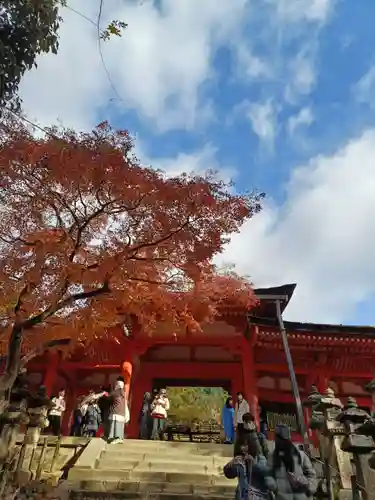 春日大社(奈良県)