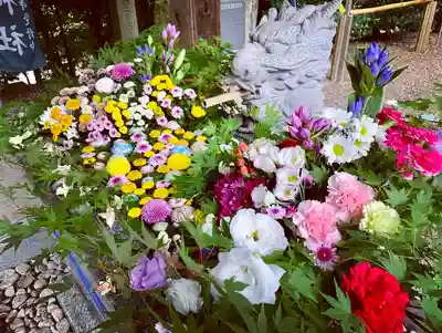 滑川神社 - 仕事と子どもの守り神の手水舎