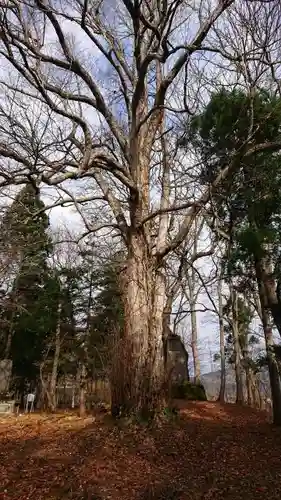 七座神社の自然