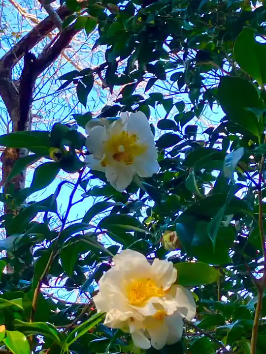 大宮大神(茨城県)