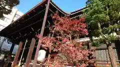 本能寺の本殿