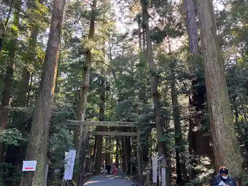 椿大神社の鳥居