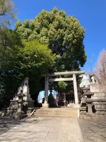 諏訪神社の鳥居