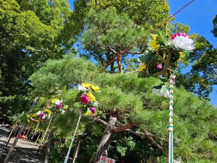 平塚八幡宮(神奈川県)