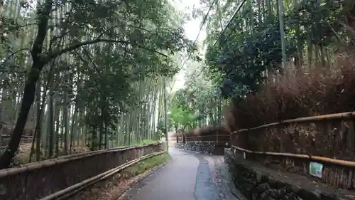 野宮神社の周辺