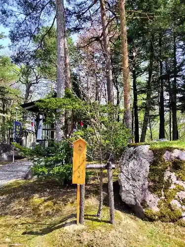 上川神社の自然