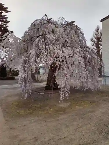 法運寺(宮城県)