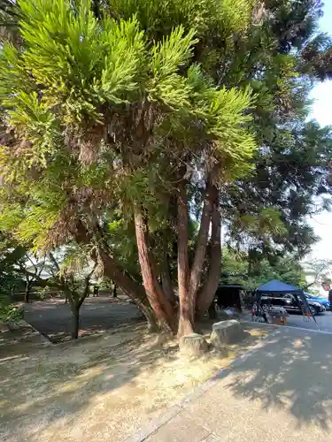 香園寺(愛媛県)