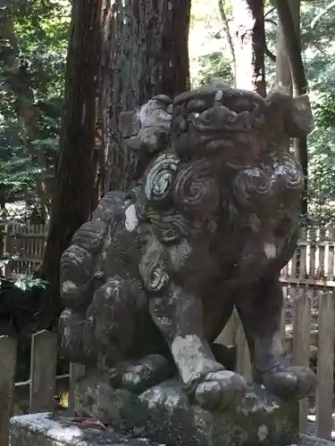 椿大神社の狛犬