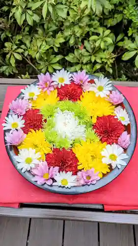 増上寺塔頭 三縁山 宝珠院の手水舎