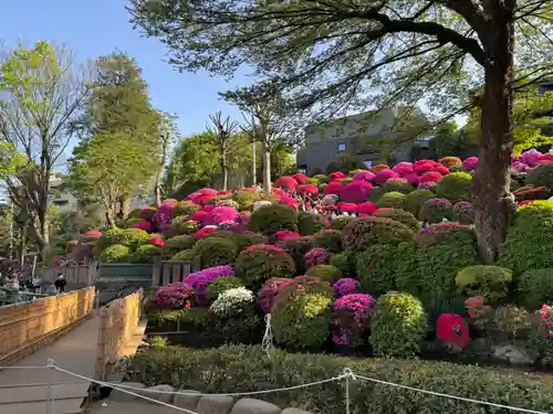 根津神社(東京都)