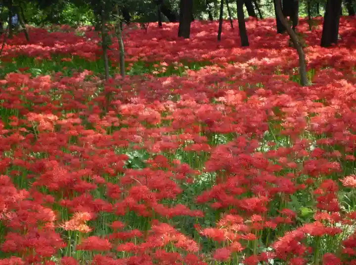 金刀比羅神社の周辺