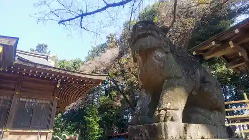 北野天神社の狛犬