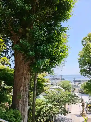 走水神社の{uncategorized: "未分類", other: "その他", undefined: "問題あり", building: "その他建物", grave: "お墓", sacred_gate: "鳥居", guardian: "狛犬", statue: "像", buddha: "仏像", history: "歴史", nature: "自然", garden: "庭園", animal: "動物", pagoda: "塔", temizu: "手水舎", mountain_gate: "山門・神門", sanctuary: "本殿・本堂", subordinate: "末社・摂社", art: "芸術", scenery: "景色", jizo: "地蔵", ema: "絵馬", goshuin: "御朱印", omikuji: "おみくじ", items: "授与品その他", amulet: "お守り", goshuincho: "御朱印帳", eats: "食事", festival: "お祭り", votive_dance: "神楽", shichigosan: "七五三参", wedding: "結婚式", experience: "体験その他", initially: "初詣", around: "周辺", anti_infection: "感染症対策"}