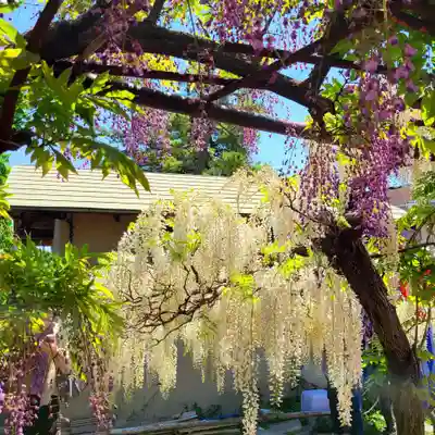 行興寺(静岡県)