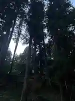 大宮温泉神社(栃木県)