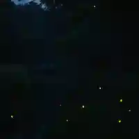 木舟山 順教寺(広島県)