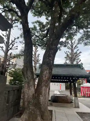 麻布氷川神社の{uncategorized: "未分類", other: "その他", undefined: "問題あり", building: "その他建物", grave: "お墓", sacred_gate: "鳥居", guardian: "狛犬", statue: "像", buddha: "仏像", history: "歴史", nature: "自然", garden: "庭園", animal: "動物", pagoda: "塔", temizu: "手水舎", mountain_gate: "山門・神門", sanctuary: "本殿・本堂", subordinate: "末社・摂社", art: "芸術", scenery: "景色", jizo: "地蔵", ema: "絵馬", goshuin: "御朱印", omikuji: "おみくじ", items: "授与品その他", amulet: "お守り", goshuincho: "御朱印帳", eats: "食事", festival: "お祭り", votive_dance: "神楽", shichigosan: "七五三参", wedding: "結婚式", experience: "体験その他", initially: "初詣", around: "周辺", anti_infection: "感染症対策"}