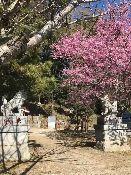 水戸愛宕神社の自然
