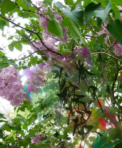 札幌諏訪神社の自然