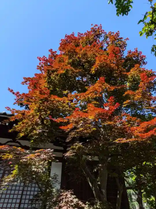 行慶寺(東京都)