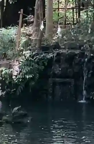 武蔵一宮氷川神社(埼玉県)