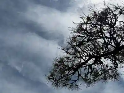 西方山極楽寺(岐阜県)
