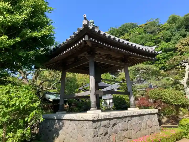 本蓮寺の{uncategorized: "未分類", other: "その他", undefined: "問題あり", building: "その他建物", grave: "お墓", sacred_gate: "鳥居", guardian: "狛犬", statue: "像", buddha: "仏像", history: "歴史", nature: "自然", garden: "庭園", animal: "動物", pagoda: "塔", temizu: "手水舎", mountain_gate: "山門・神門", sanctuary: "本殿・本堂", subordinate: "末社・摂社", art: "芸術", scenery: "景色", jizo: "地蔵", ema: "絵馬", goshuin: "御朱印", omikuji: "おみくじ", items: "授与品その他", amulet: "お守り", goshuincho: "御朱印帳", eats: "食事", festival: "お祭り", votive_dance: "神楽", shichigosan: "七五三参", wedding: "結婚式", experience: "体験その他", initially: "初詣", around: "周辺", anti_infection: "感染症対策"}
