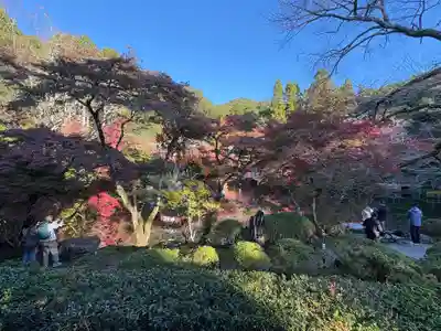 醍醐寺(京都府)
