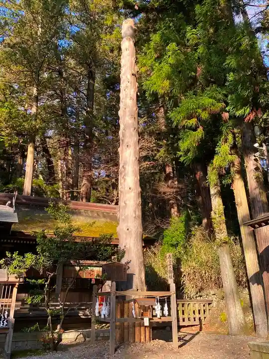 諏訪大社下社春宮の自然