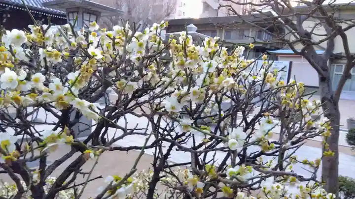 櫛田神社(福岡県)