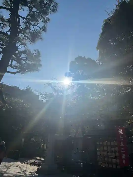 桜神宮(東京都)