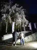 立鉾鹿島神社の庭園