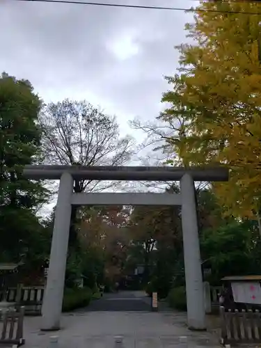 阿佐ヶ谷神明宮の鳥居