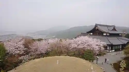 将軍塚青龍殿（青蓮院門跡）(京都府)