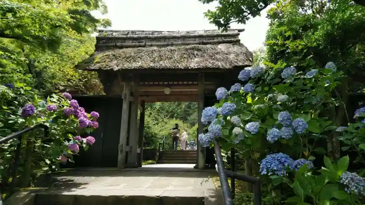 東慶寺の山門・神門