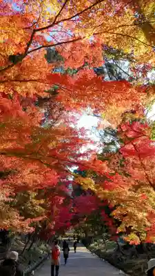 醍醐寺(京都府)