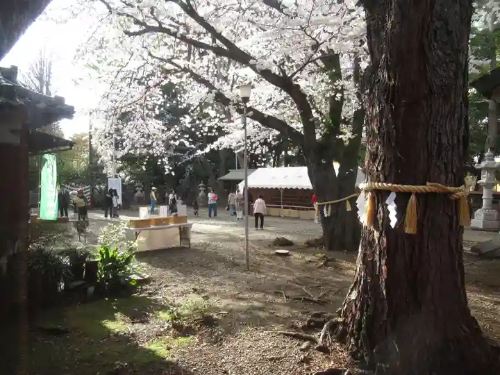 前原御嶽神社(千葉県)