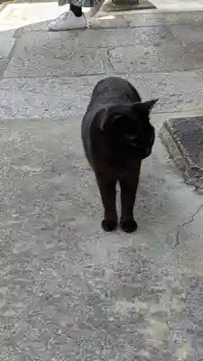 養源院(京都府)