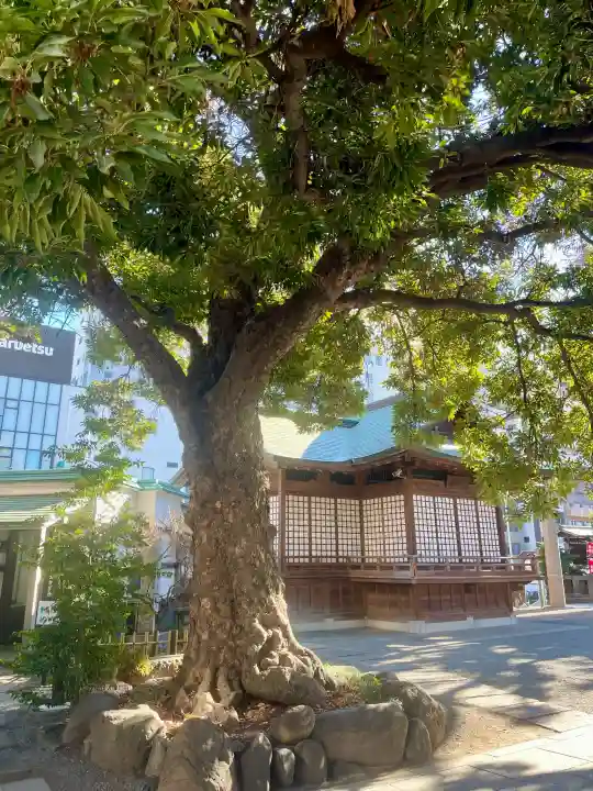 大鳥神社の{uncategorized: "未分類", other: "その他", undefined: "問題あり", building: "その他建物", grave: "お墓", sacred_gate: "鳥居", guardian: "狛犬", statue: "像", buddha: "仏像", history: "歴史", nature: "自然", garden: "庭園", animal: "動物", pagoda: "塔", temizu: "手水舎", mountain_gate: "山門・神門", sanctuary: "本殿・本堂", subordinate: "末社・摂社", art: "芸術", scenery: "景色", jizo: "地蔵", ema: "絵馬", goshuin: "御朱印", omikuji: "おみくじ", items: "授与品その他", amulet: "お守り", goshuincho: "御朱印帳", eats: "食事", festival: "お祭り", votive_dance: "神楽", shichigosan: "七五三参", wedding: "結婚式", experience: "体験その他", initially: "初詣", around: "周辺", anti_infection: "感染症対策"}