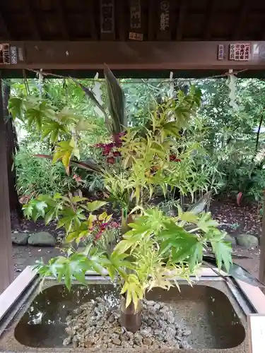 赤坂氷川神社の手水舎