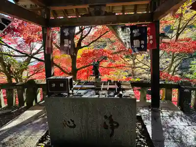 大山寺(神奈川県)