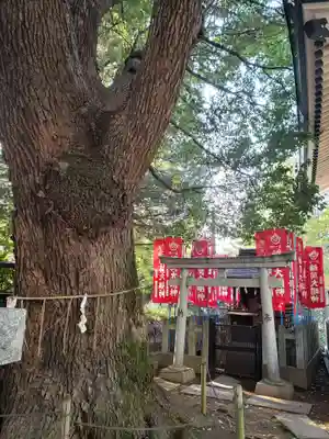 諏訪神社(東京都)