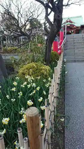 亀戸天神社の自然