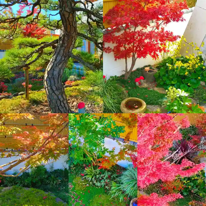 寿量山 速成寺(奈良県)